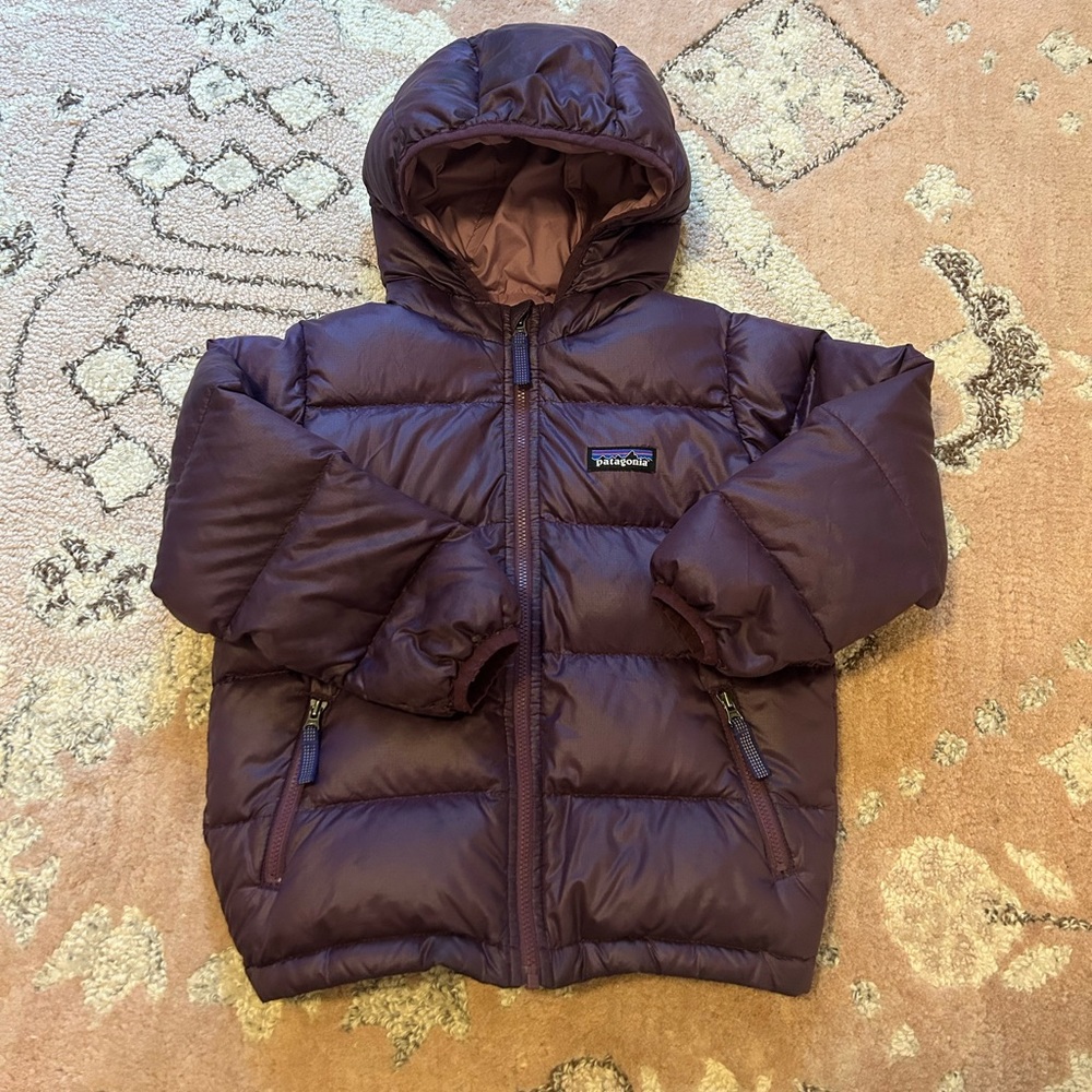 Patagonia Hi-Loft Down Jacket